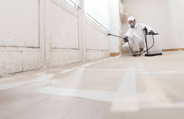 24/7 Emergency Crawl Space Mold Remediation experts in Boyce, VA