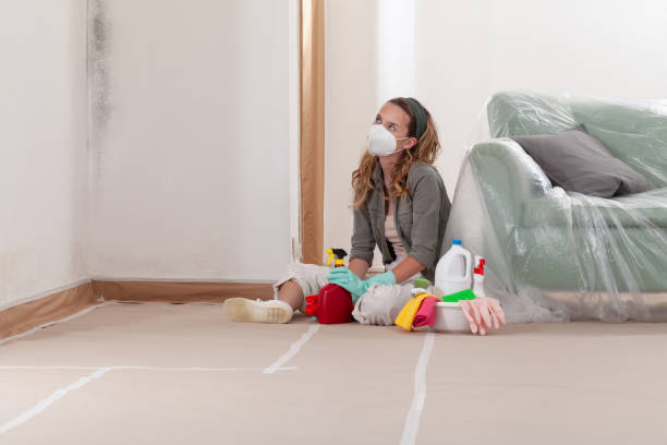Reliable Crawl Space Mold Remediation contractor in Boyce, VA by 24 Hour Mold Removal