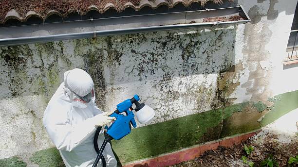 Top rated local Crawl Space Mold Remediation specialists in Boyce, VA